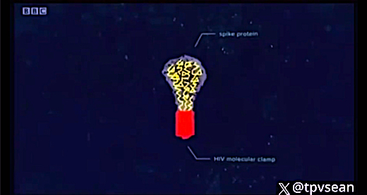 image Spike protein with its HIV Clamp